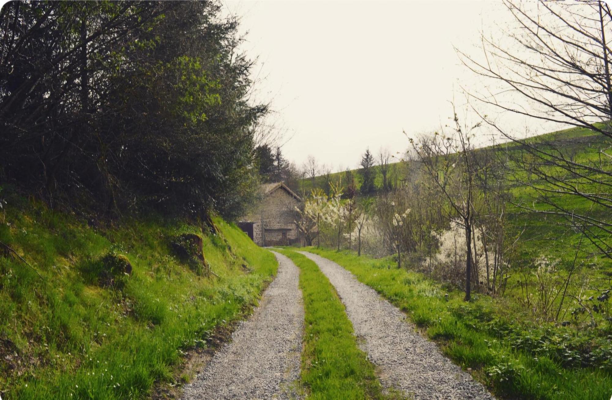 La Fabrique Du Roncon Villa Saint-Bonnet-le-Troncy Kültér fotó