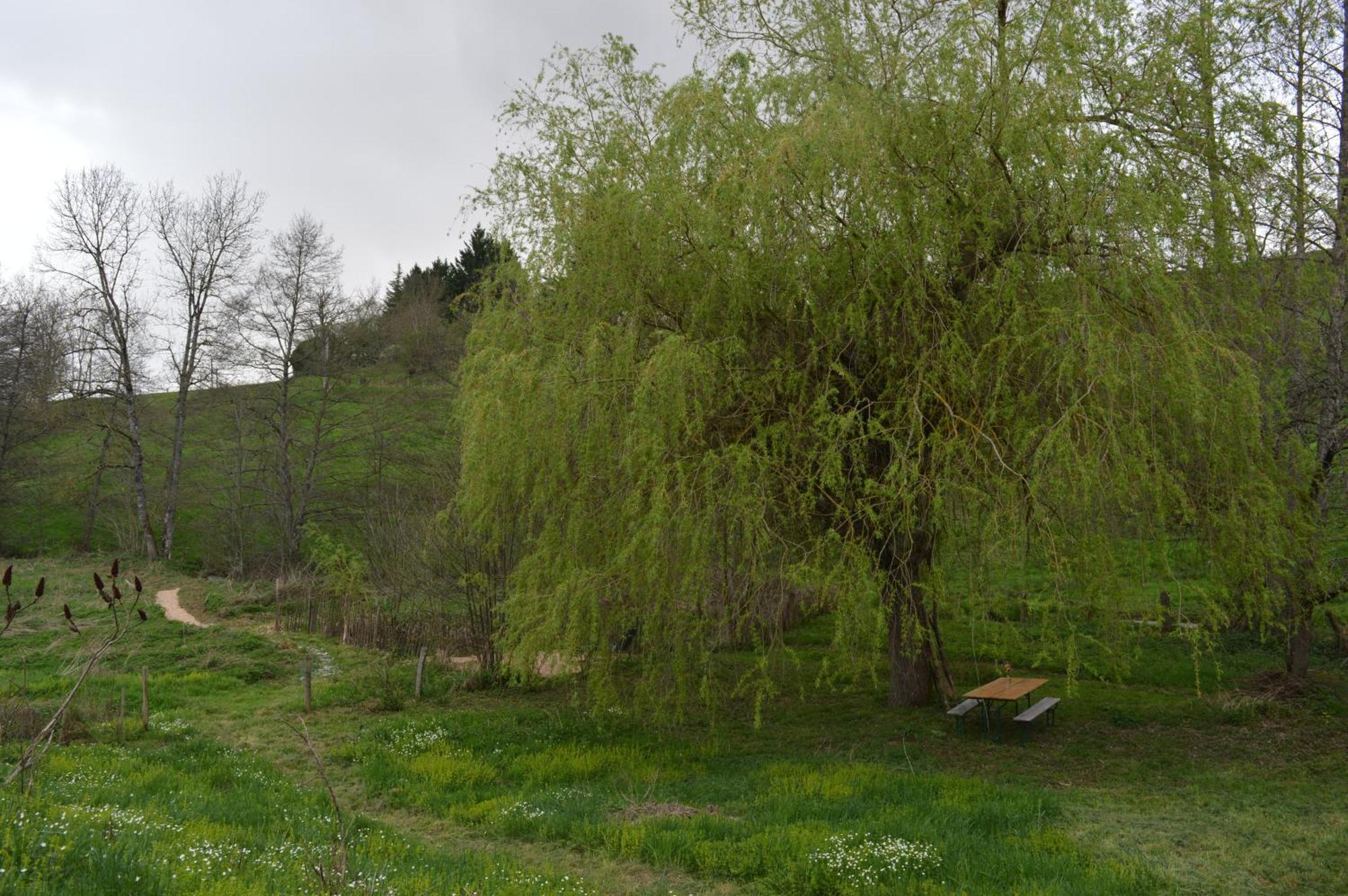La Fabrique Du Roncon Villa Saint-Bonnet-le-Troncy Kültér fotó